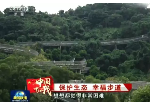 1509612733883012.png 5.png