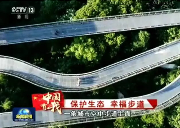 1509612741742427.png 6.png